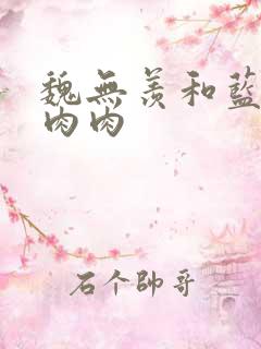 魏无羡和蓝忘机肉肉