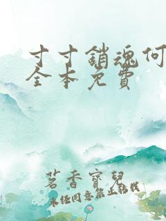 寸寸销魂何生祥全本免费