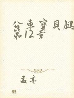 公车宝贝腿开点第12章