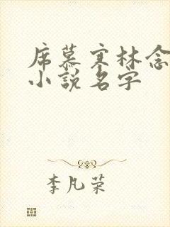 席慕寒林念儿的小说名字