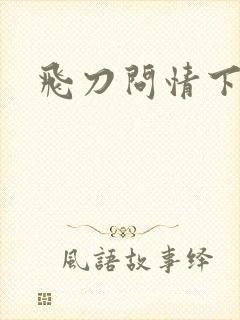 飞刀问情下载