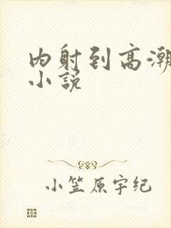 内射到高潮的H小说