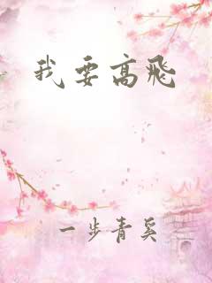 我要高飞