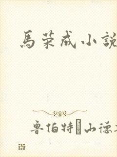 马荣成小说
