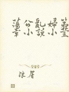 荡公乱妇第51章小说小莹