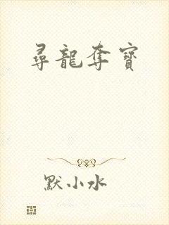 寻龙夺宝