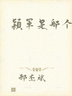 颖军是哪个军阀