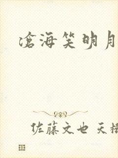 沧海笑明月