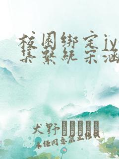 校园绑定jy收集系统宋涵