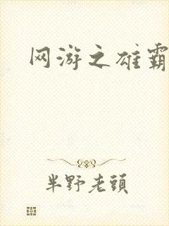 网游之雄霸天下