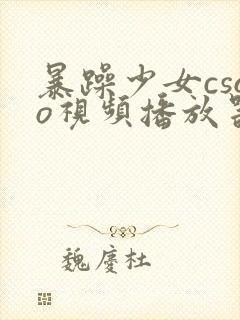 暴躁少女csgo视频播放器推荐