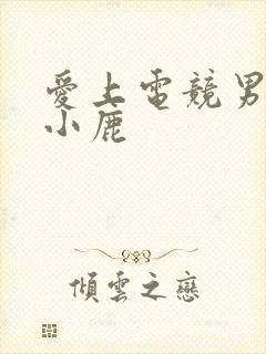 爱上电竞男神林小鹿