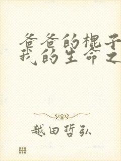 爸爸的棍子顶着我的生命之苏苗