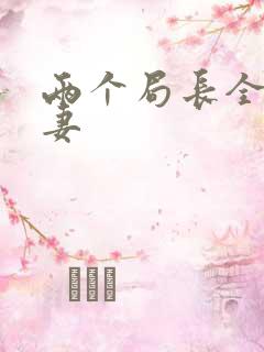 两个局长全肉共妻