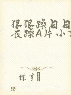 狠狠躁日日躁夜夜躁A片小说