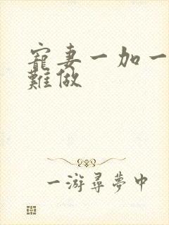 宠妻一加一老婆难做