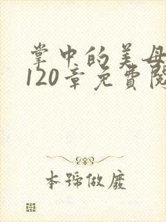 掌中的美母版主120章免费阅读