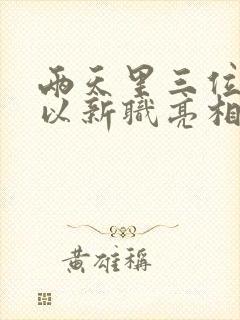 两天里三位将军以新职亮相