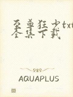 至尊狂少txt全集下载