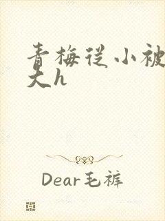 青梅从小被弄到大h