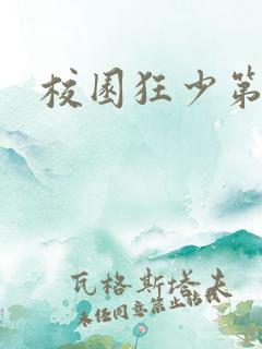 校园狂少第二部