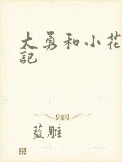 大勇和小花的日记