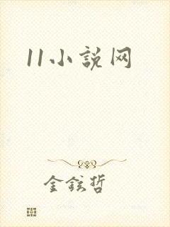 11小说网