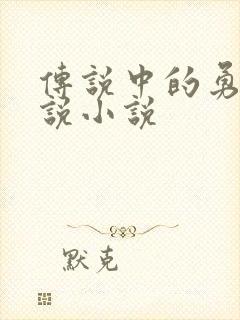 传说中的勇者传说小说