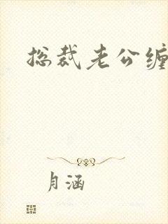 总裁老公缠上门