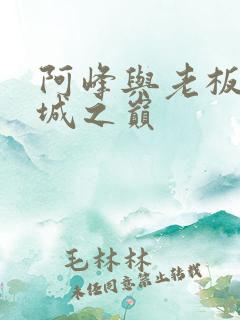 阿峰与老板娘倾城之巅