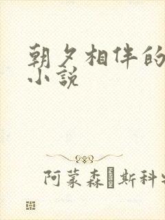 朝夕相伴的哥哥小说