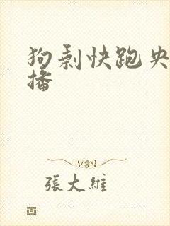 狗剩快跑央八首播