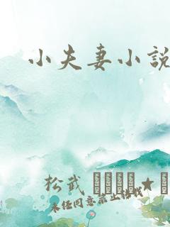小夫妻小说