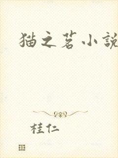 猫之茗小说