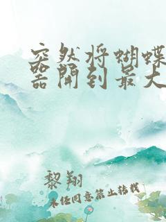 突然将蝴蝶遥控器开到最大