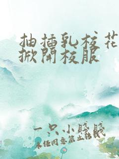 抽插乳校花老师掀开校服