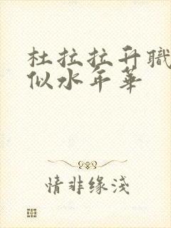 杜拉拉升职记之似水年华