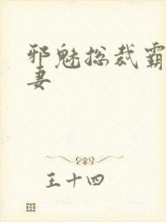 邪魅总裁霸占新妻