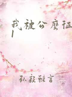 我被公么征服了1