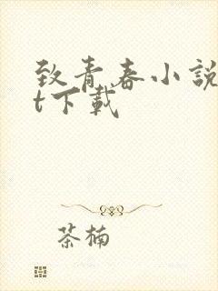 致青春小说txt下载