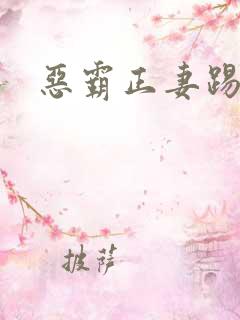 恶霸正妻踢娇妾