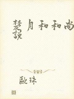 楚月和和尚的小说