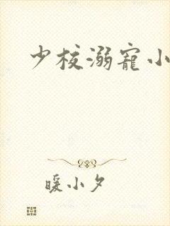 少校溺宠小小妻