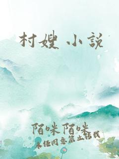 村嫂 小说
