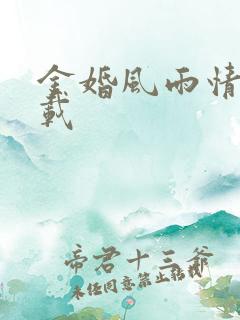 金婚风雨情 下载