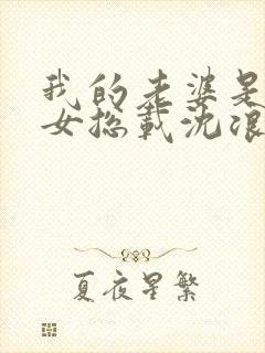 我的老婆是冰山女总载沈浪