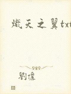 炽天之翼txt