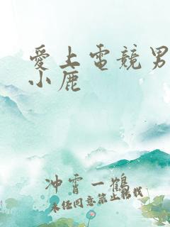 爱上电竞男神林小鹿