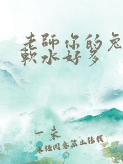 老师你的兔子好软水好多