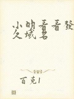 小明看看发布永久域名